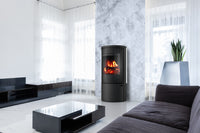 Ember Kamin F-14 VG Vollglastür